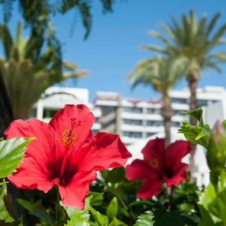 Optimist Americas Apartment Playa de las Americas (Tenerife)